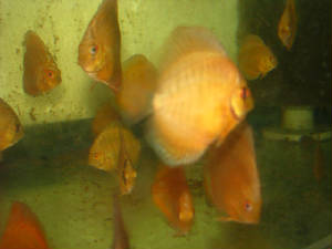 img_0866.jpg
