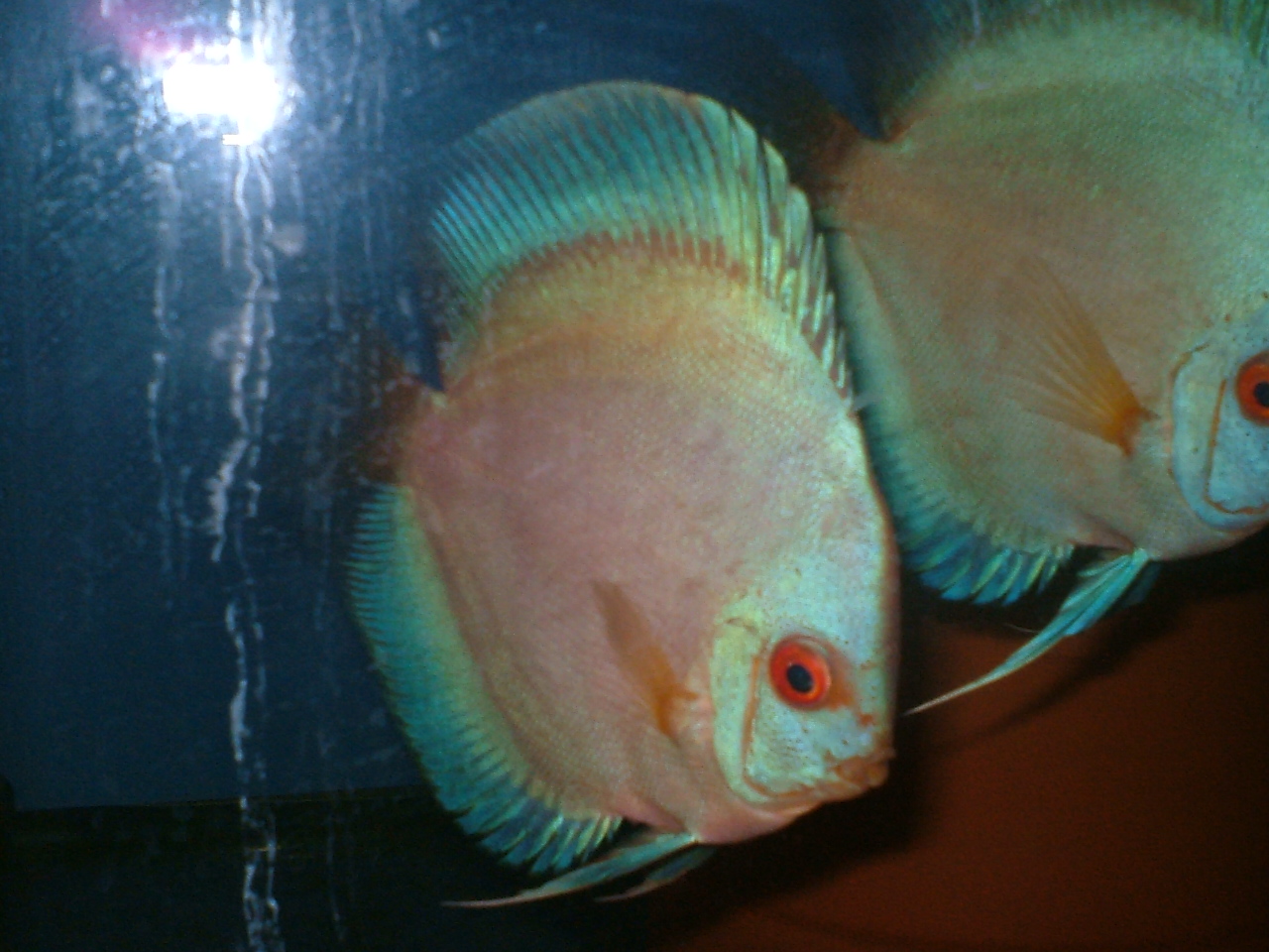dscf5562.jpg